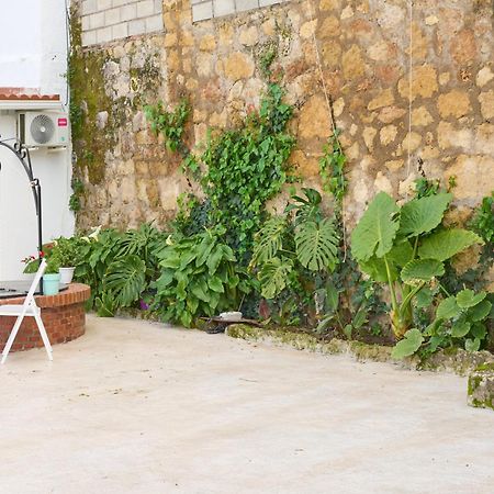 Villa Verde Pet-Friendly 코르도바 외부 사진